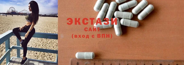 СК Алексин