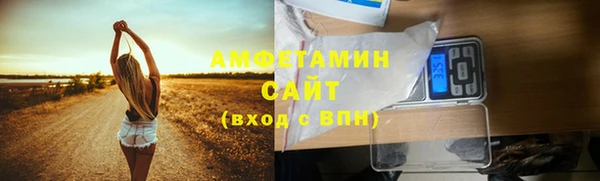 СК Алексин