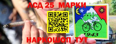 гашик Краснознаменск